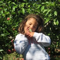 a girl biting in an apple at an apple farm in NJ