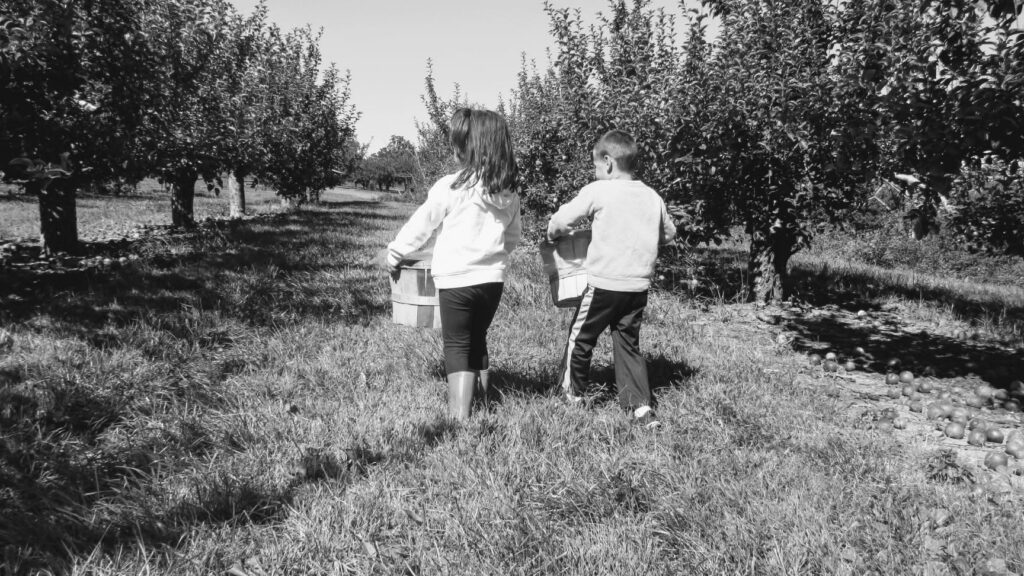 kids walking in an apple orchard at a farm in Somerset NJ